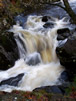 Falls vii